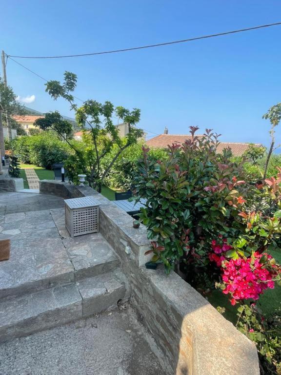 Le Cap Apartment *